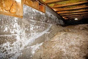 Crawlspace Mold: Where it Comes from, Why it’s a Problem, and How to Solve It