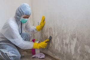 How Mold Removal Works